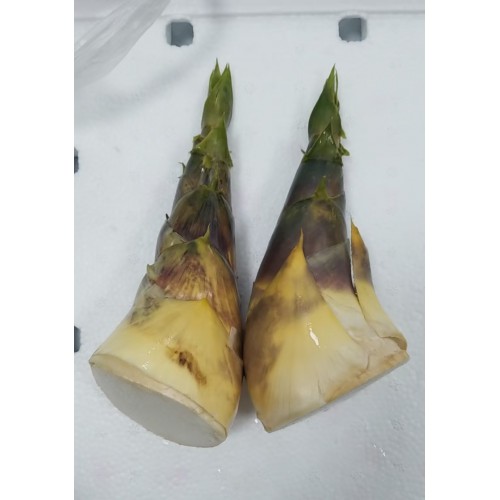 馬蹄筍